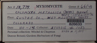 Image Associated With the Occurence